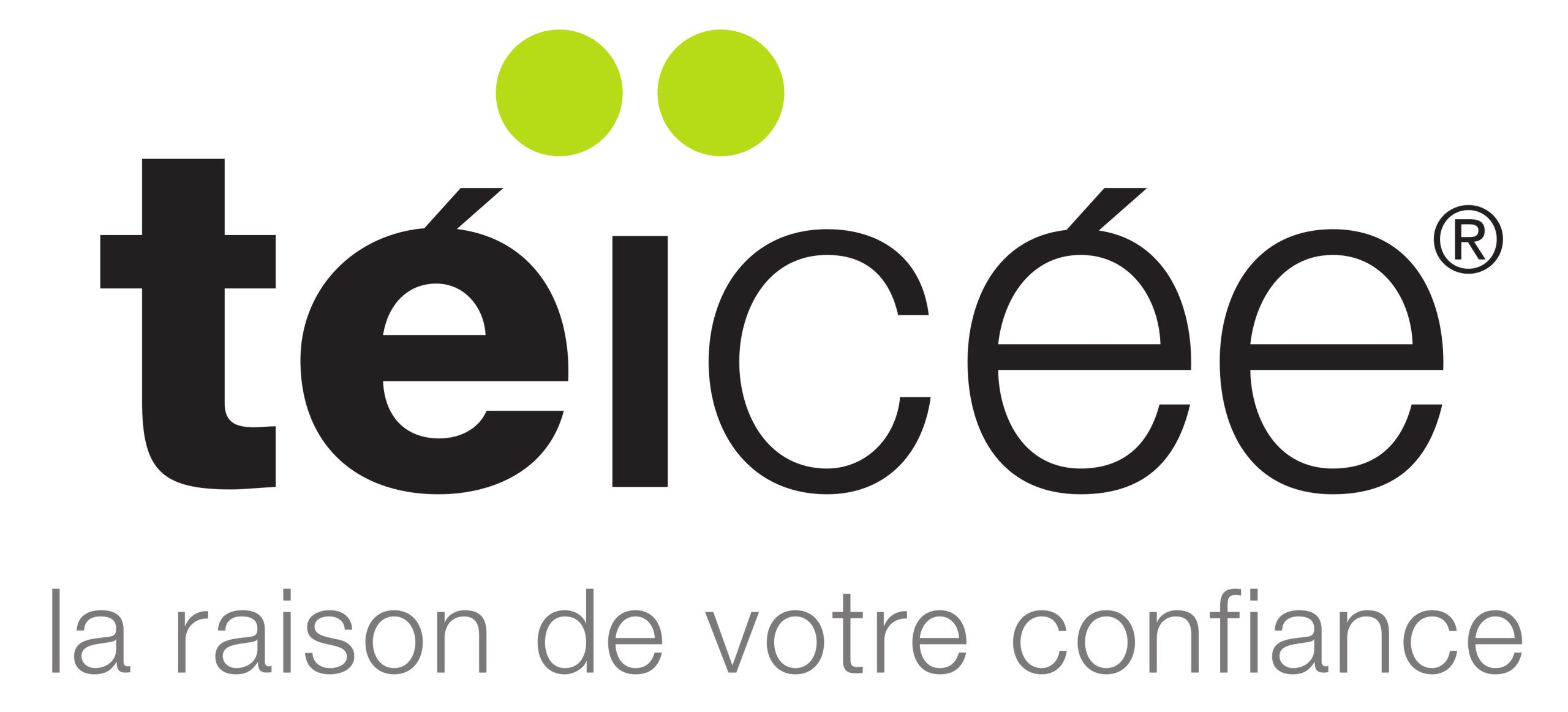 TEICEE Logo